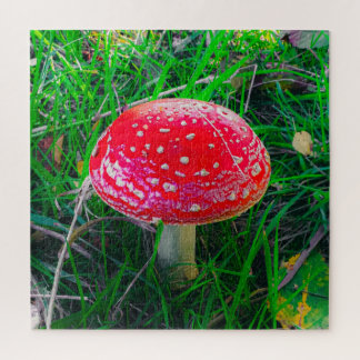 Magic Mushroom Fungi Rote Natur Landschaftlich Out Puzzle