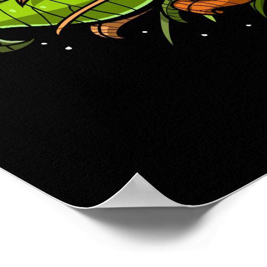 Magic Mushrooms Fungi Poster (Ecke)