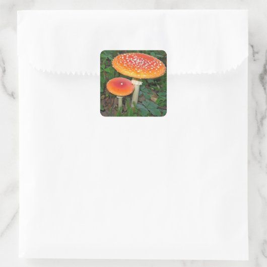 Magic Mushrooms Quadratischer Aufkleber (Tasche)
