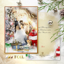 Magic Pets Christmas, Blue Merle Collie & Kitten - Folien Feiertagskarte