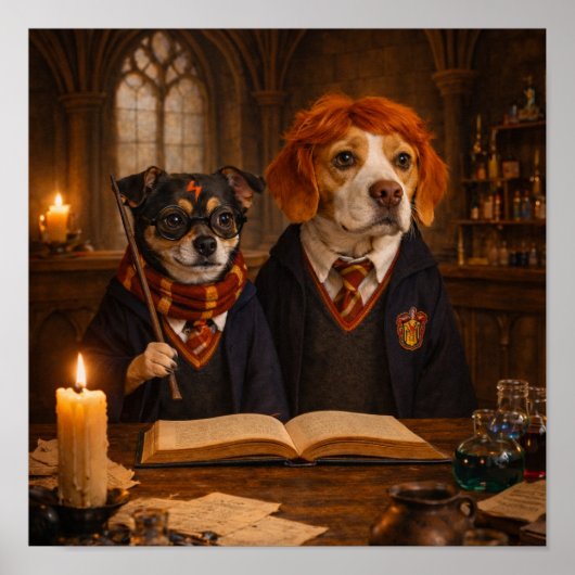 "Magic Research" Poster (Vorne)