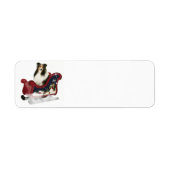 Magic Sleigh Sheltie (Vorne)