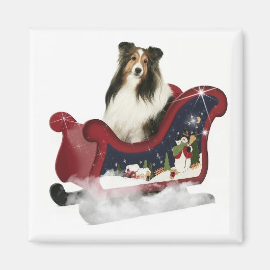 Magic Sleigh Sheltie Magnet (Vorne)