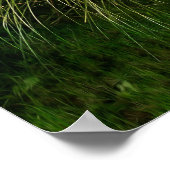 Magic Summer Garden Poster (Ecke)