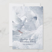 Magic White Horse & Dose on Ice - Weihnachtskarte (Vorderseite)