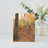 Magic Wood Stairs Postkarte (Stehend Vorderseite)