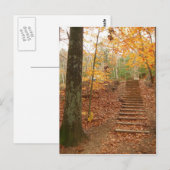 Magic Wood Stairs Postkarte (Vorne/Hinten)