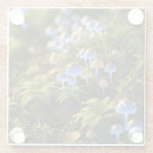 Magical Bioluminescent Fungi - Deep Forest Glasuntersetzer (Rückseite)