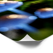Magical Bioluminescent Fungi - Deep Forest Poster (Ecke)