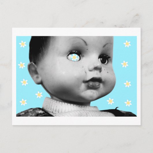 Magical Daisies for World Peace Postkarte (Vorderseite)