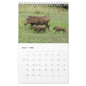 Magical Kenya Calendar 2014 (Single-Seite) Kalender (Mär 2026)