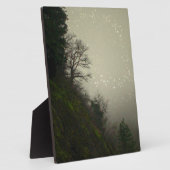 Magical Mist Forest Hill Fotoplatte (Seite)