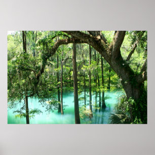 Magical Radium Springs Park Poster