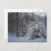 Magical Sternry Christmas Feiertagspostkarte (Vorne/Hinten)