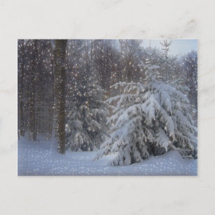 Magical Sternry Christmas Feiertagspostkarte