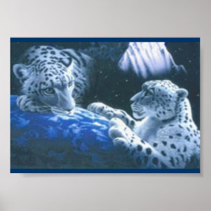 Magical Tigers Poster