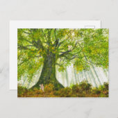 Magical Tree Fantasy Fairy Forest Postkarte (Vorne/Hinten)