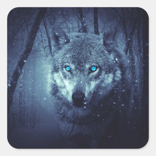 Magical Wild Wolf mit Phantastischen blauen Augen Quadratischer Aufkleber (Vorderseite)