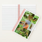 Magicicada Cicada-Notebook für 2024 Notizblock (Innen)