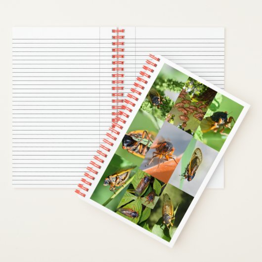 Magicicada Cicada-Notebook für 2024 Notizblock (Innen)