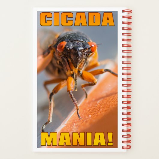 Magicicada Cicada-Notebook für 2024 Notizblock (Rückseite)