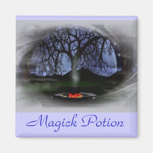 Magick Potion Magnet