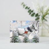 "Magie in Harness" Postkarte (Stehend Vorderseite)