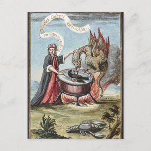 Magier und Drache im Kessel der Alchemie Postkarte