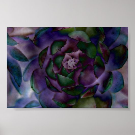 magisch poster (Vorne)