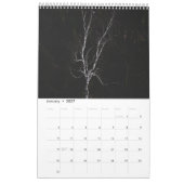 Magische Baumlandschaft Foto Kalender (Jan 2027)
