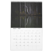 Magische Baumlandschaft Foto Kalender (Mär 2027)