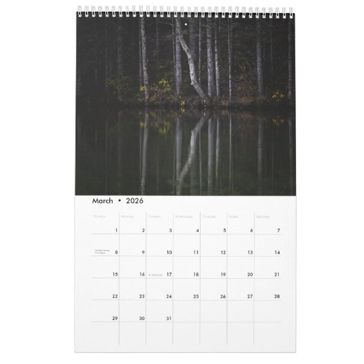 Magische Baumlandschaft Foto Kalender (Mär 2026)