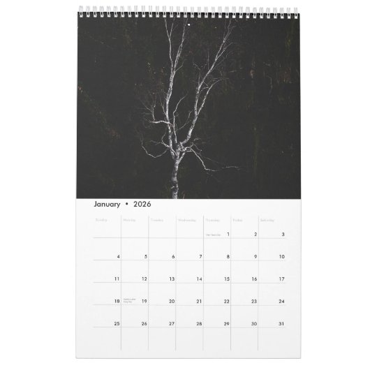 Magische Baumlandschaft Foto Kalender (Jan 2026)