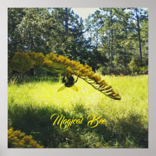 Magische Biene, Bienenstöpsel, Bienen und Blume Po Poster