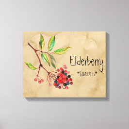 Magische Blume Elderberry 16.14'' x 12.86'' Canva Leinwanddruck