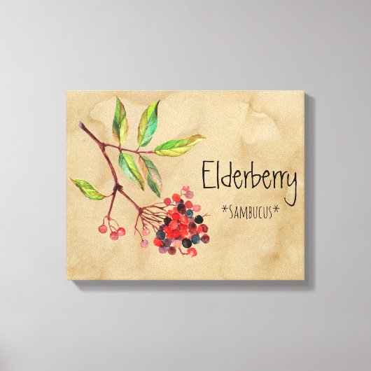 Magische Blume Elderberry 16.14'' x 12.86'' Canva Leinwanddruck (Vorderseite)