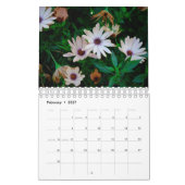 Magische Blume Kalender (Feb 2027)