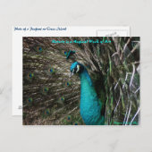 Magische Friedensstift Natur ist Postkarte der Kun (Vorne/Hinten)