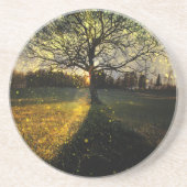 Magische Glühwürmchen, traumhafte Landschaft Getränkeuntersetzer (Vorne)