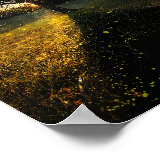 Magische Glühwürmchen, traumhafte Landschaft Poster (Ecke)