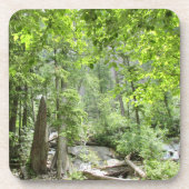 Magische grüne Waldszene. Getränkeuntersetzer (Vorderseite)