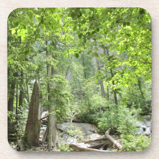 Magische grüne Waldszene. Getränkeuntersetzer (Vorderseite)