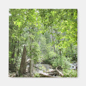 Magische grüne Waldszene. Magnet (Vorne)