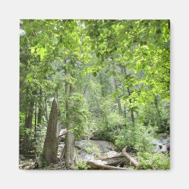 Magische grüne Waldszene. Magnet