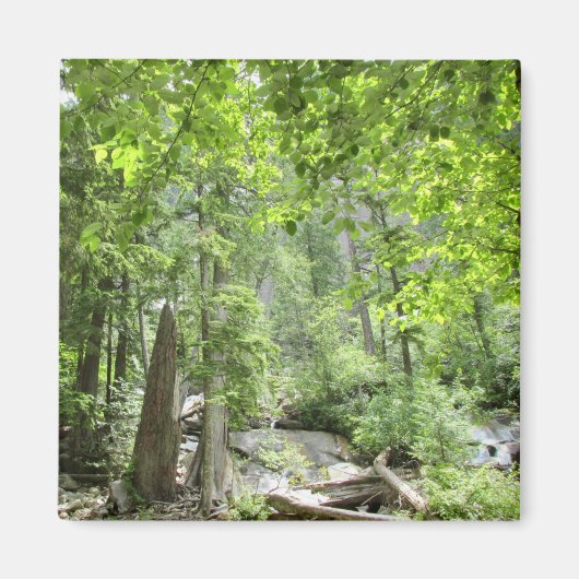 Magische grüne Waldszene. Magnet (Vorne)