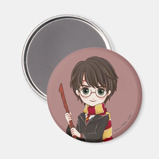 Magische HARRY POTTER™ Wasserfarbe Magnet (Vorderseite/Rückseite)