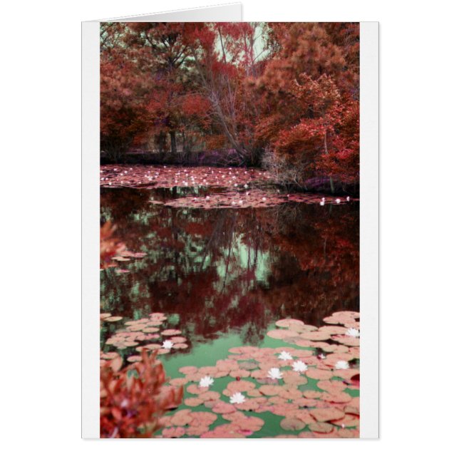 Magische Landschaft (Vorne)