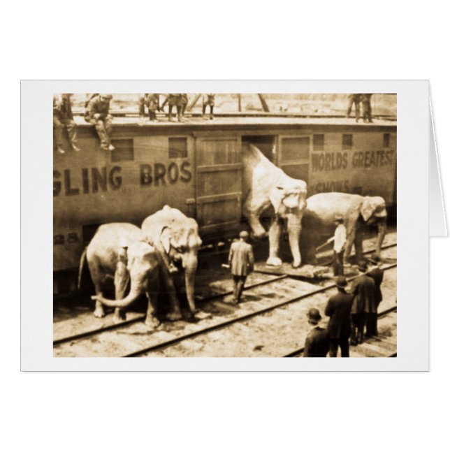 Magische Laternen-Dia Ringling Bros Elefant-Zug (Vorderseite (Horizontal))
