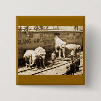 Magische Laternen-Dia Ringling Bros Elefant-Zug