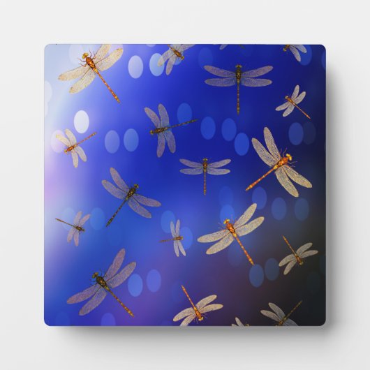 Magische Libellen auf blau, Fotoplatte (Vorderseite)